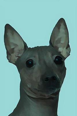 Book cover for American Hairless Terrier