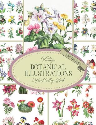 Book cover for Vintage Botanical Illustrations Cut Out Collage Book