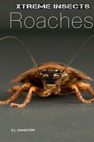 Cover of Roaches