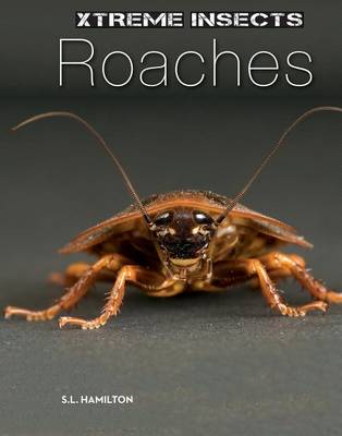 Book cover for Roaches