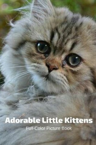 Cover of Adorable Little Kittens