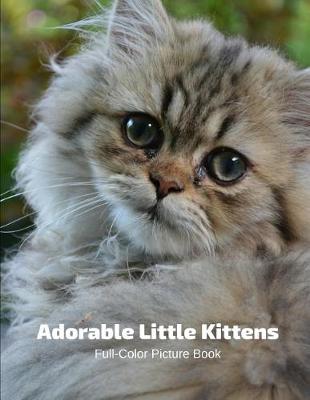 Book cover for Adorable Little Kittens