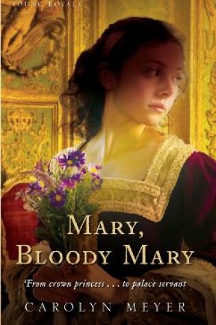 Cover of Mary, Bloody Mary