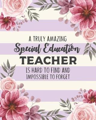 Book cover for A Truly Amazing Special Education Teacher Is Hard To Find And Impossible To Forget