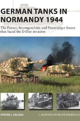Cover of German Tanks in Normandy 1944