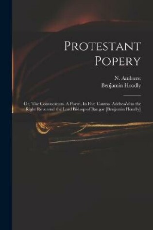 Cover of Protestant Popery