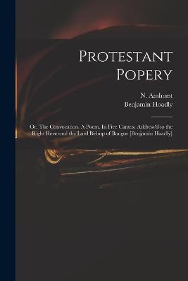 Book cover for Protestant Popery