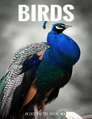 Book cover for Birds