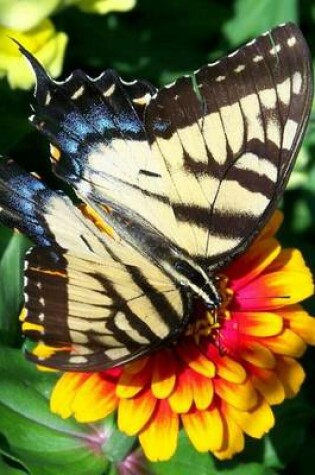 Cover of Pretty Butterfly on a Plant, for the Love of Nature