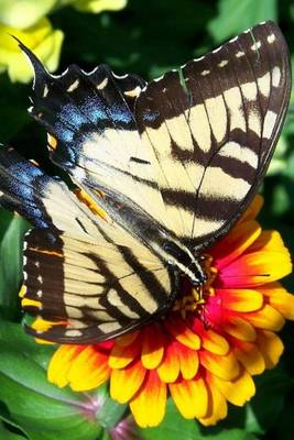 Book cover for Pretty Butterfly on a Plant, for the Love of Nature