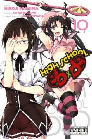 Cover of High School DxD, Vol. 10