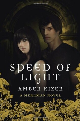 Cover of Speed of Light