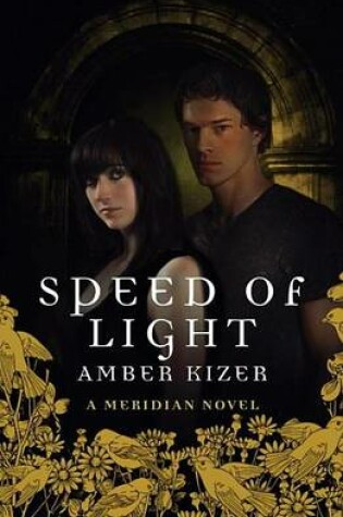 Cover of Speed of Light