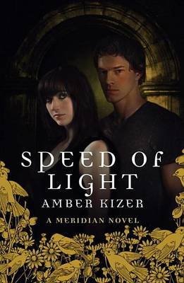 Book cover for Speed of Light