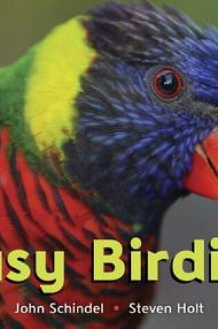 Cover of Busy Birdies