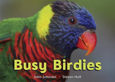 Book cover for Busy Birdies