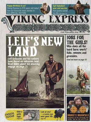 Book cover for The Viking Express