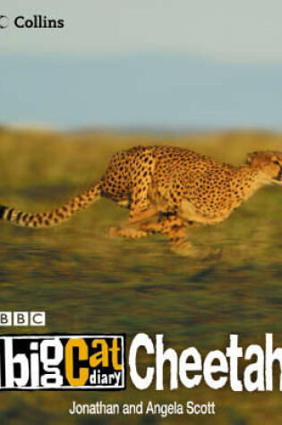 Cover of Big Cat Diary: Cheetah