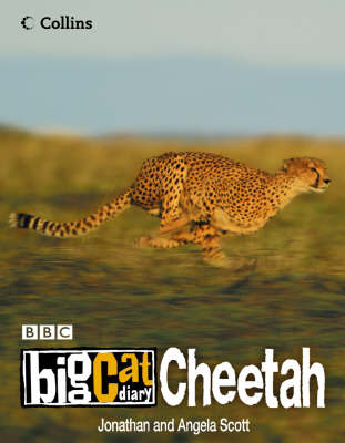 Book cover for Big Cat Diary: Cheetah