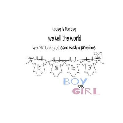 Book cover for Today is the day we tell the world! Gender Reveal