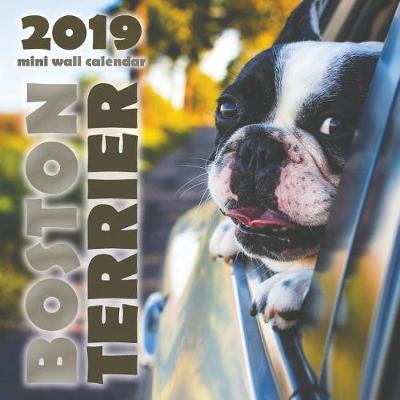 Book cover for Boston Terrier 2019 Mini Wall Calendar