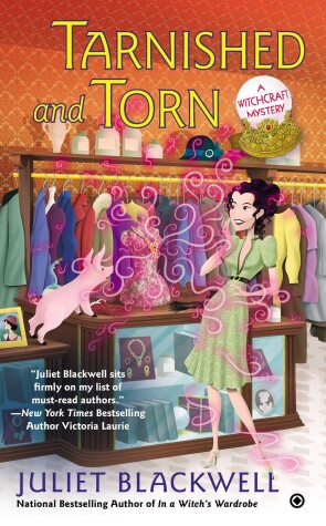 Book cover for Tarnished and Torn