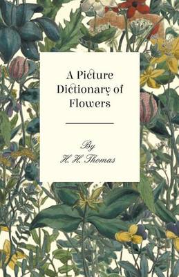 Book cover for A Picture Dictionary of Flowers