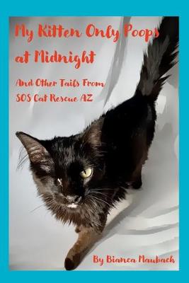 Book cover for My Kitten Only Poops at Midnight