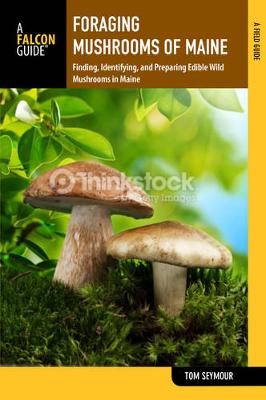 Book cover for Foraging Mushrooms Maine
