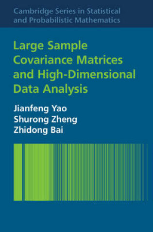 Cover of Large Sample Covariance Matrices and High-Dimensional Data Analysis