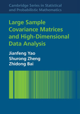 Book cover for Large Sample Covariance Matrices and High-Dimensional Data Analysis