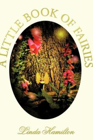 Cover of A Little Book of Fairies