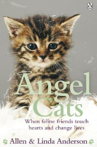 Cover of Angel Cats