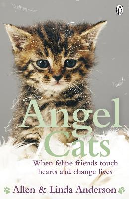 Book cover for Angel Cats