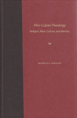 Book cover for Theology of Hate