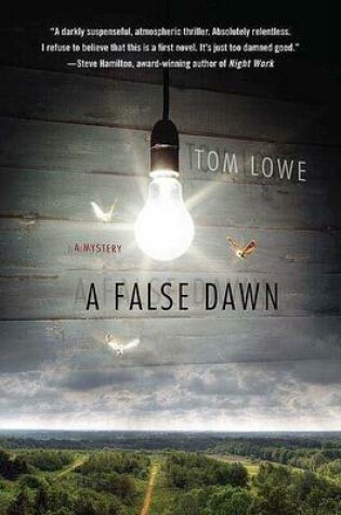 Cover of A False Dawn