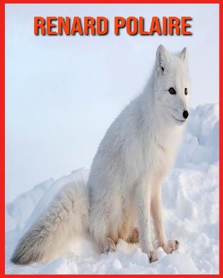 Book cover for Renard Polaire