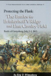 Book cover for Protecting the Flank