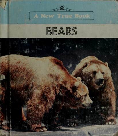 Book cover for Bears