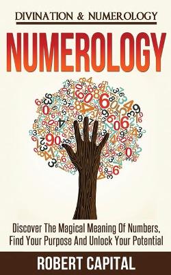 Book cover for Numerology