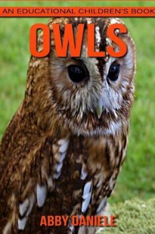 Cover of Owls! An Educational Children's Book about Owls with Fun Facts & Photos