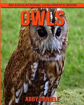 Book cover for Owls! An Educational Children's Book about Owls with Fun Facts & Photos