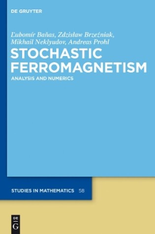 Cover of Stochastic Ferromagnetism