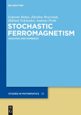 Cover of Stochastic Ferromagnetism