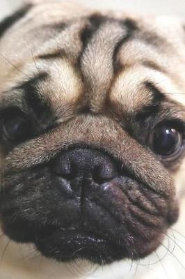 Book cover for Love My Pug