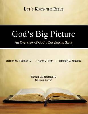 Book cover for God's Big Picture