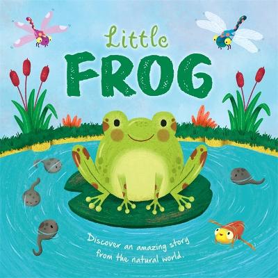 Book cover for Little Frog