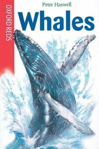 Cover of Whales