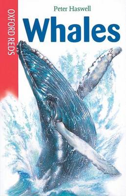 Book cover for Whales