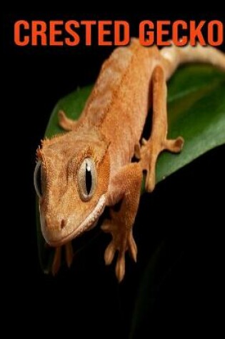 Cover of Crested Gecko